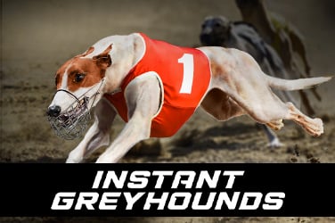 Instant Greyhounds