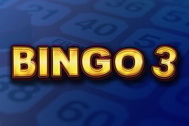 Bingo 3